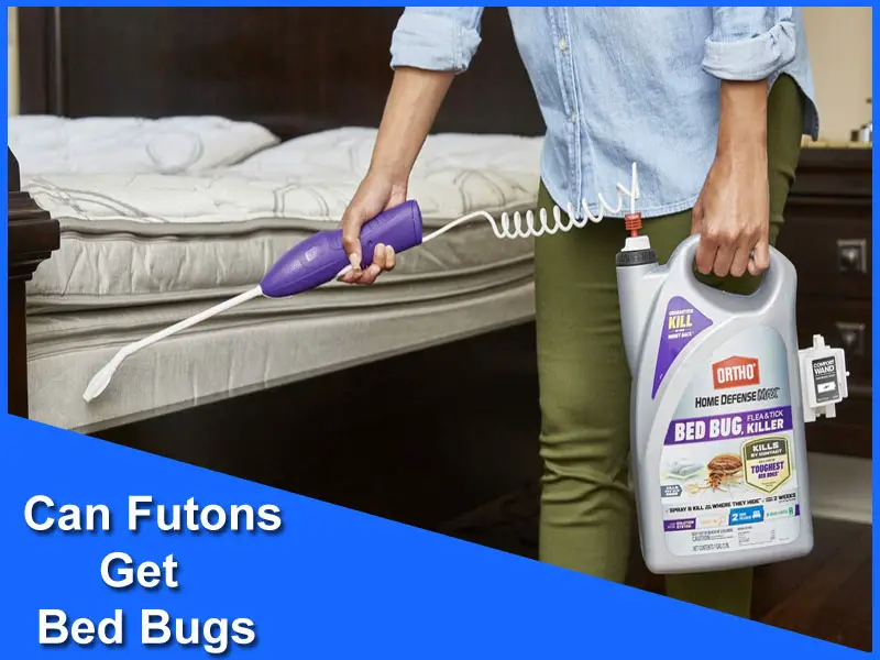 Can Futons Get Bed Bugs