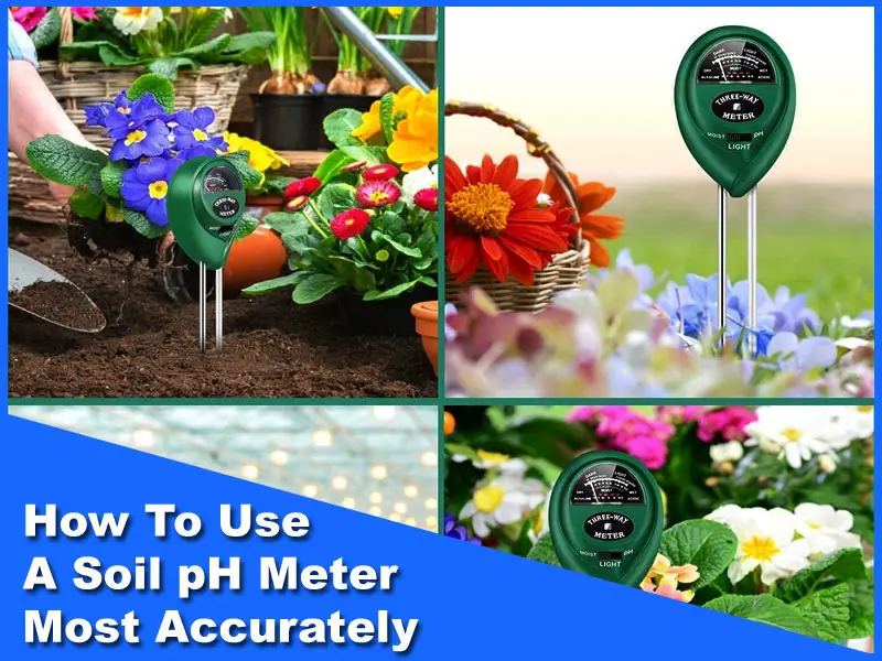 How To Use A Soil Ph Meter Most Accurately