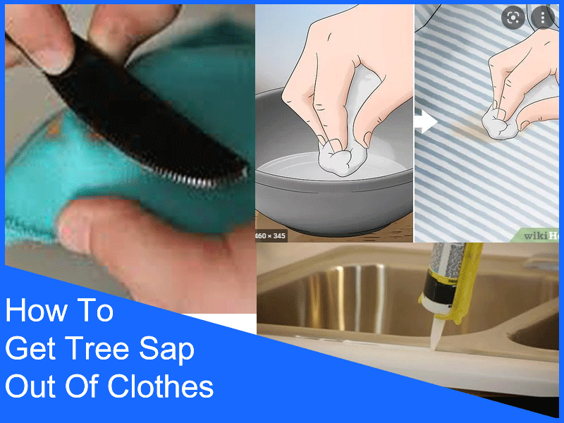 How To Get Tree Sap Out Of Clothes