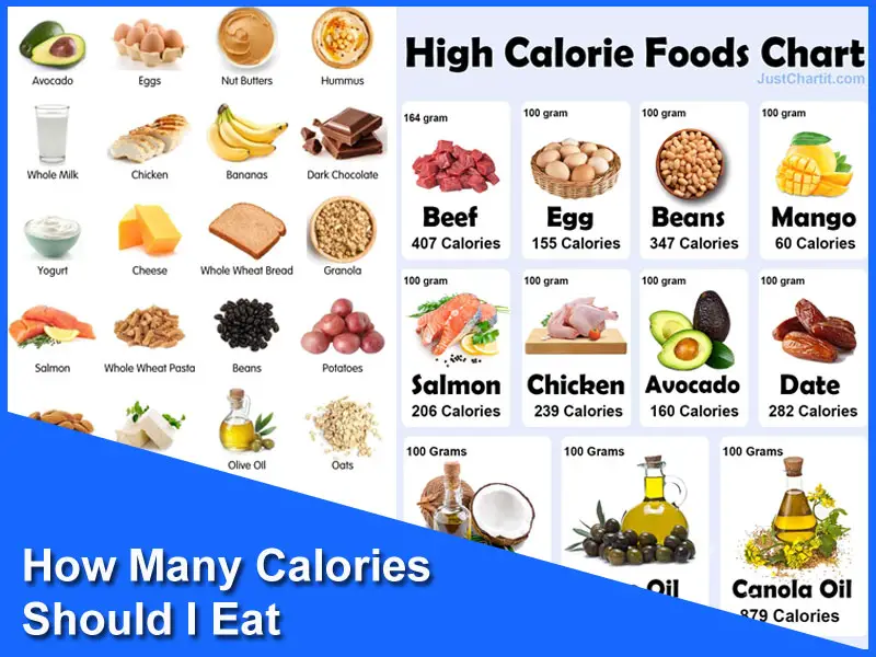 How Many Calories Should I Eat  