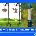 How To Install A Squirrel Baffle