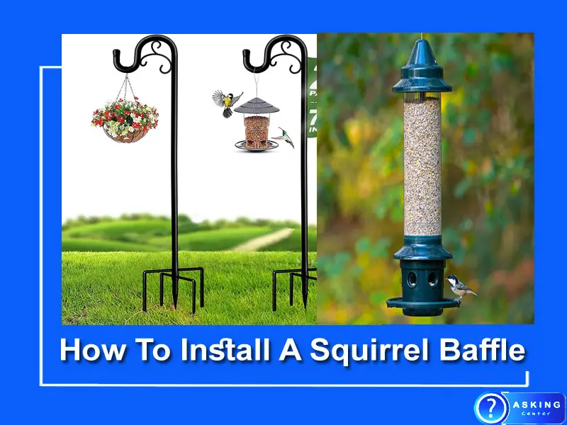 How To Install A Squirrel Baffle (5 Easy Steps)