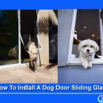 How To Install A Dog Door Sliding Glass
