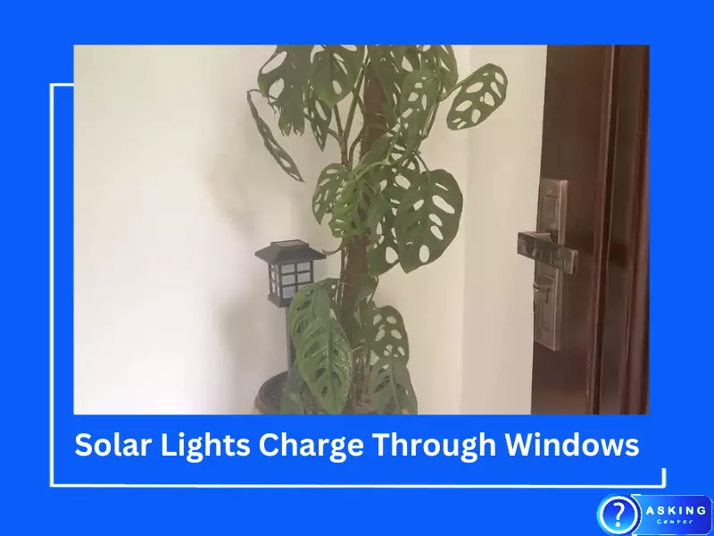 Can Solar Lights Charge Through Windows