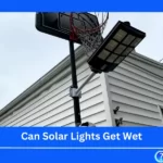 Can Solar Lights Get Wet