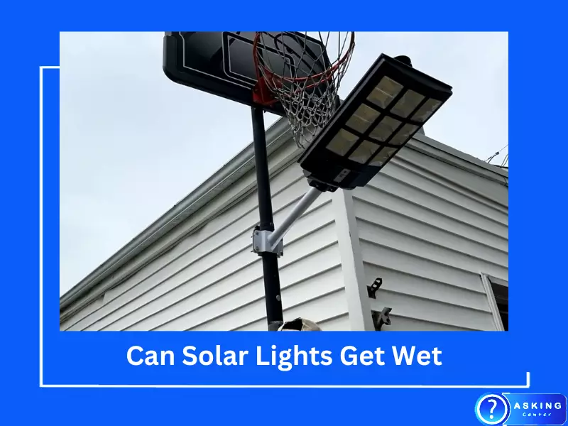 Can Solar Lights Get Wet