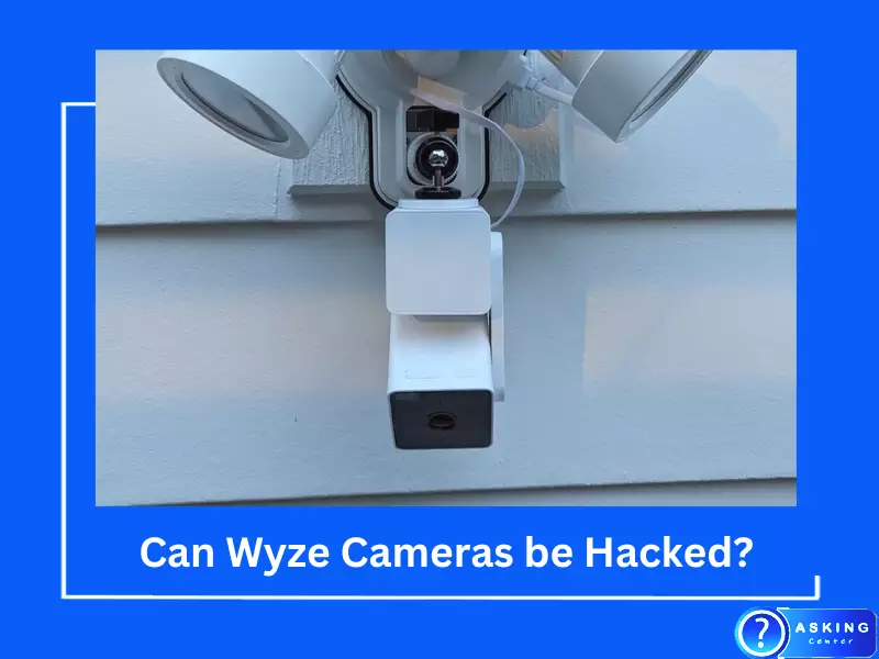 Can Wyze Cameras be Hacked?