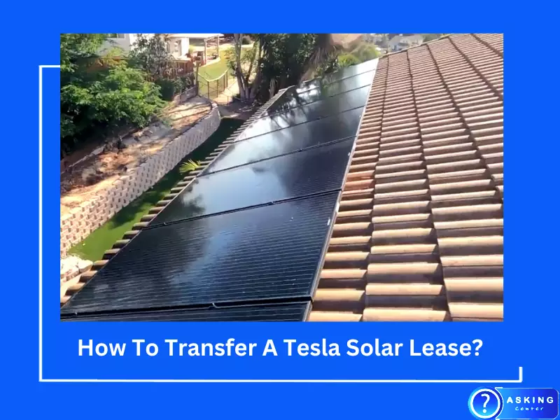 Why Solar Panels Need To Be Cleaned